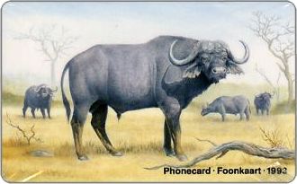 Phonecards - Sud Africa 1993