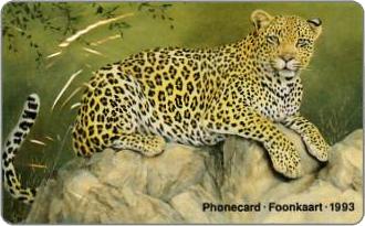 Phonecards - Sud Africa 1993